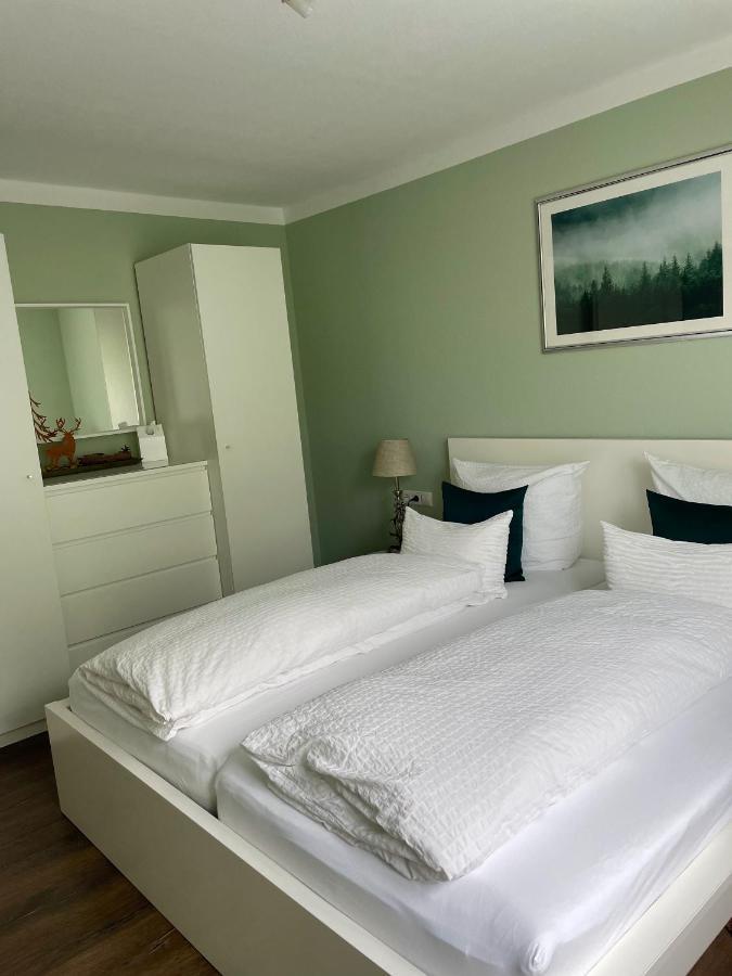 Blackforest Apartment فرودنستاد المظهر الخارجي الصورة