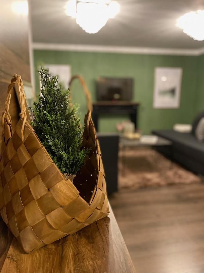 Blackforest Apartment فرودنستاد المظهر الخارجي الصورة