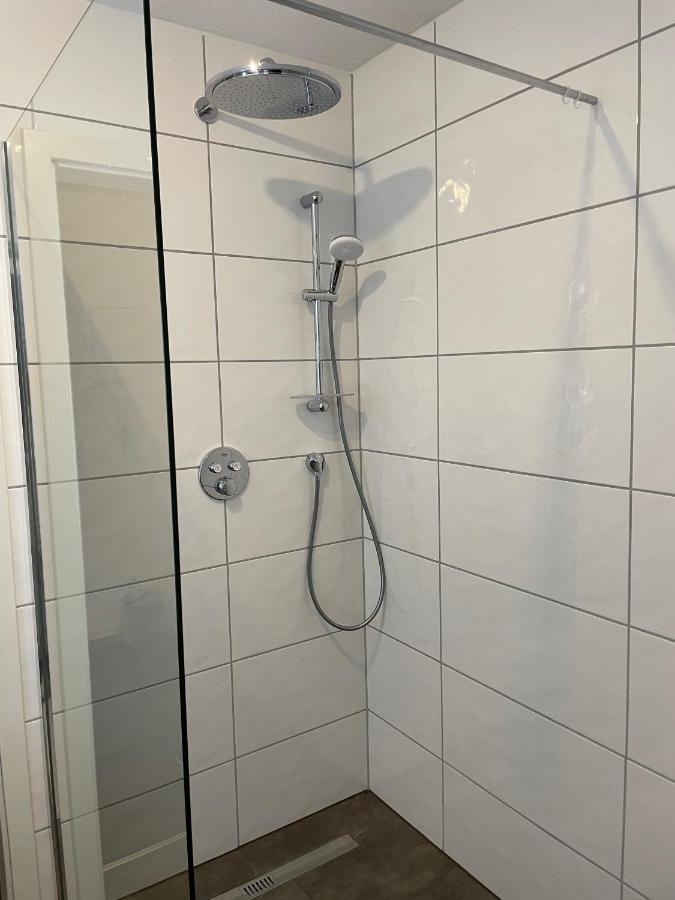 Blackforest Apartment فرودنستاد المظهر الخارجي الصورة