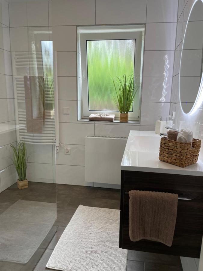 Blackforest Apartment فرودنستاد المظهر الخارجي الصورة